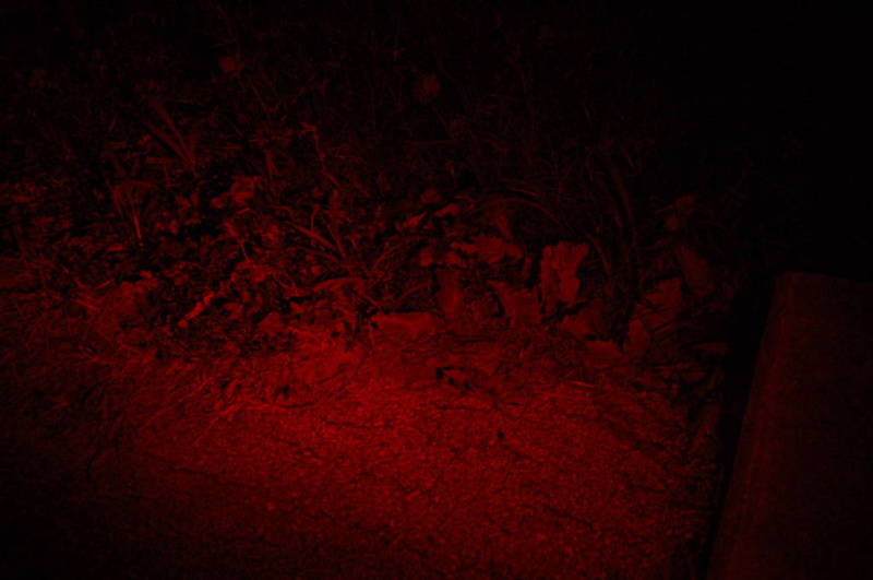 LED Lenser P7QC