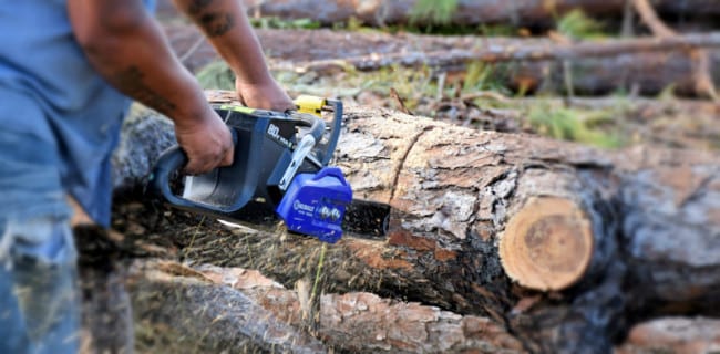 Kobalt 80V Chainsaw Performance 2
