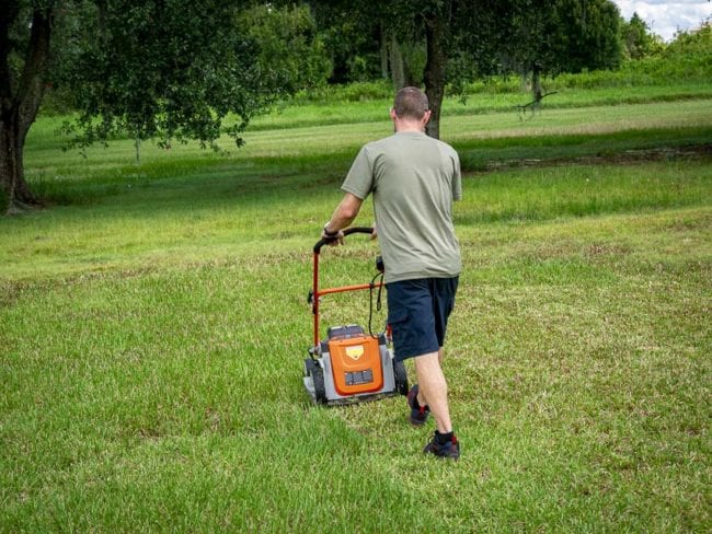 Black and Decker Battery Lawn Mower Cutting
