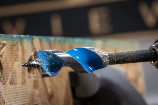 Spyder Auger Bit
