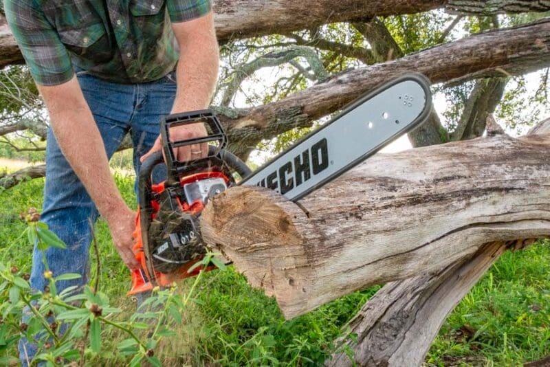 Cutting Oak