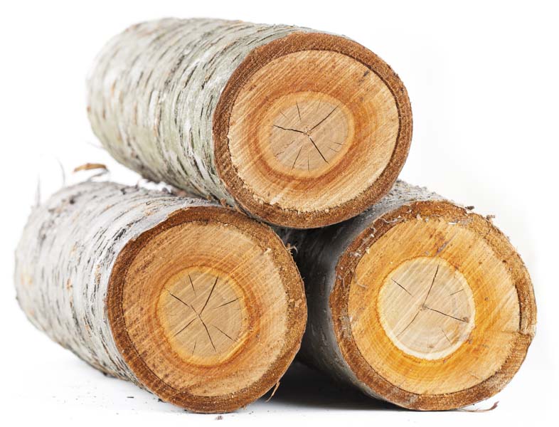 cherry hardwood