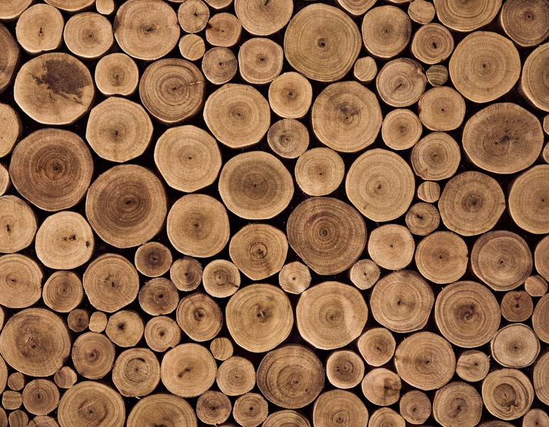 teak