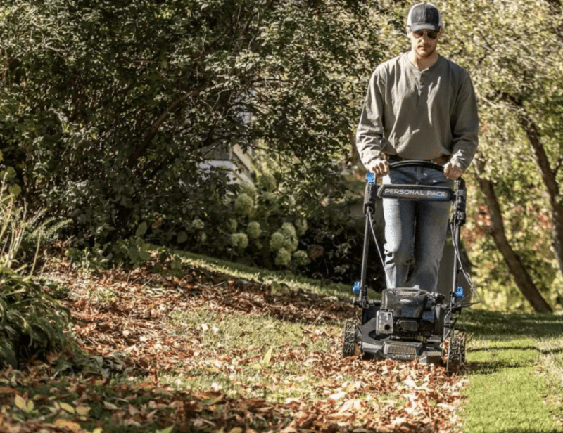 best mulching gas lawn mower
toro 21565