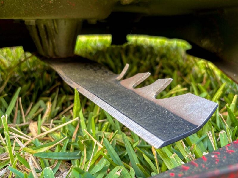 Oregon Gator G4 Blade
