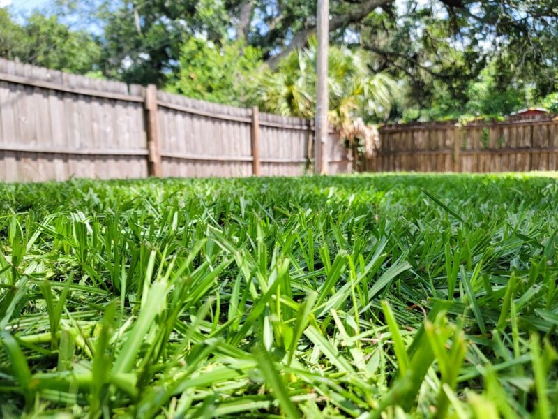 EGO 30-Inch Self-Propelled Lawn Mower