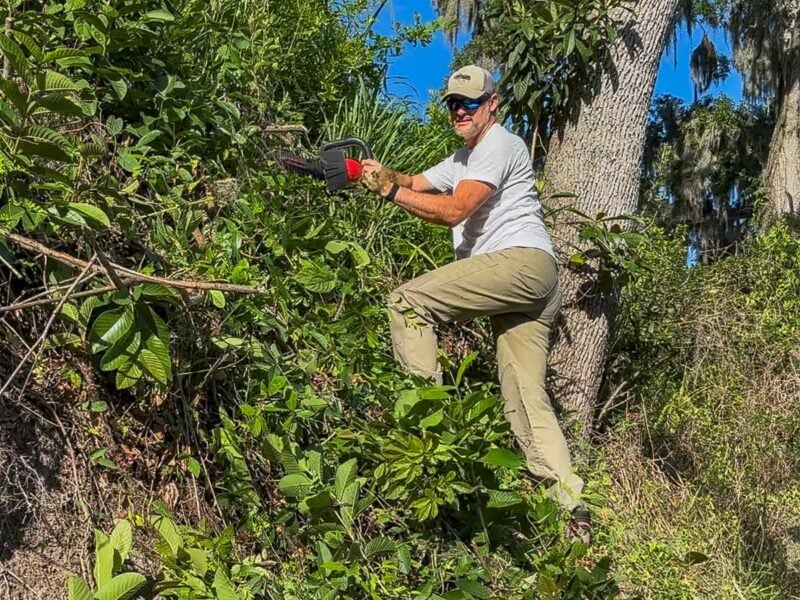 Forgeline Oaks Camp Pants